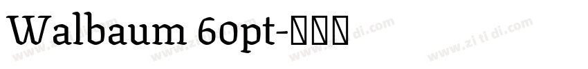 Walbaum 60pt字体转换
